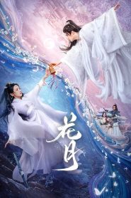 Bloom Once More (2025)