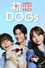 Love Is for the Dog (2025)