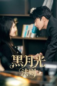 Princess Revenge (2025)