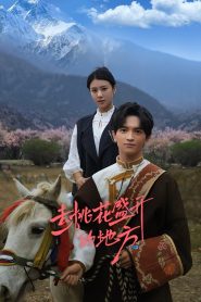 Finding Home in Blossoms (2025)