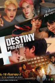 4 Destiny Project (2025)