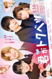 Kimi ga Tokubetsu (2025)