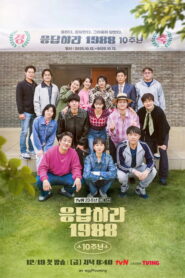 Reply 1988 10th Anniversary (2025)